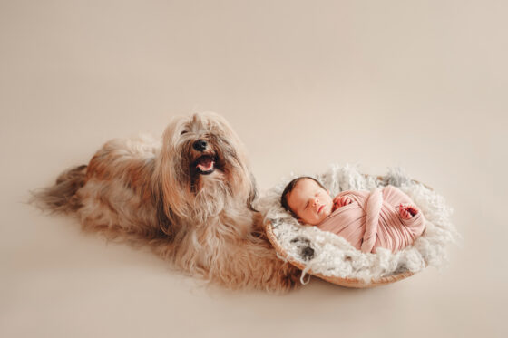 newborn-with-dog-hund